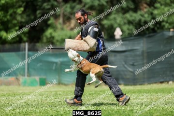 IMG_8625.jpg