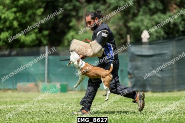 IMG_8627.jpg