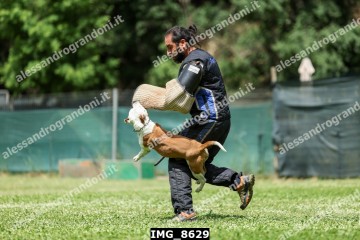 IMG_8629.jpg