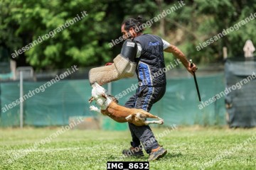 IMG_8632.jpg