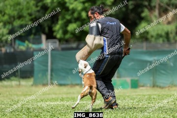 IMG_8638.jpg
