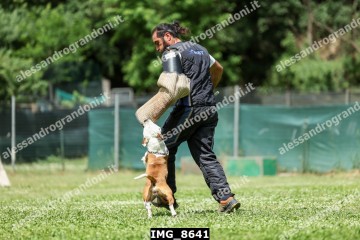 IMG_8641.jpg