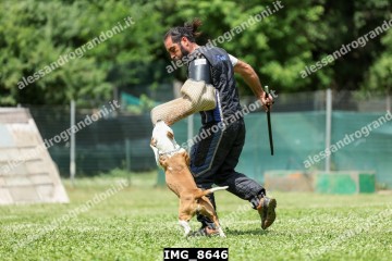 IMG_8646.jpg