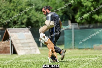 IMG_8654.jpg