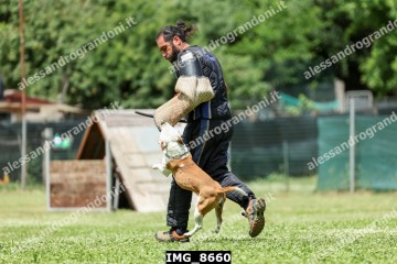 IMG_8660.jpg