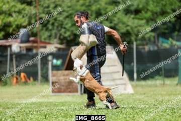 IMG_8665.jpg
