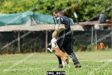 IMG_8670.jpg