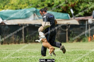 IMG_8674.jpg