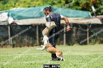 IMG_8678.jpg