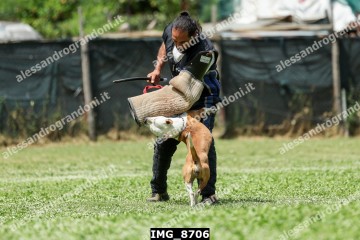 IMG_8706.jpg