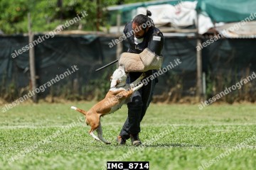 IMG_8714.jpg