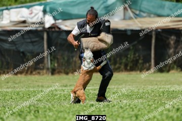 IMG_8720.jpg