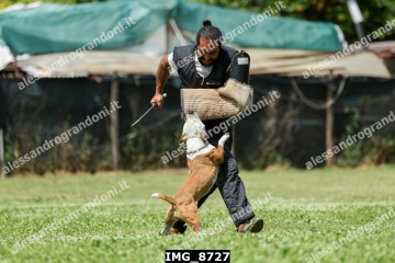 IMG_8727.jpg