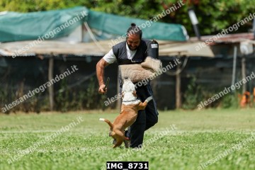 IMG_8731.jpg