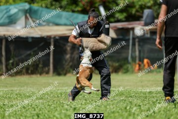 IMG_8737.jpg