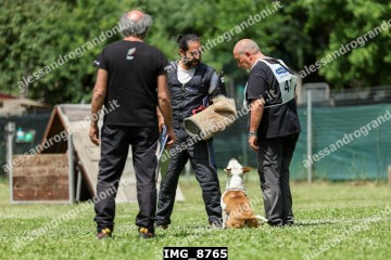 IMG_8765.jpg