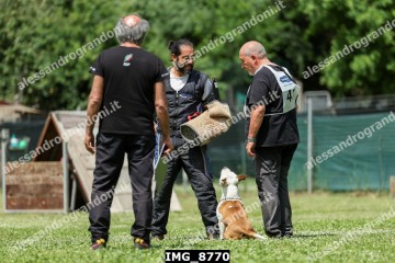 IMG_8770.jpg