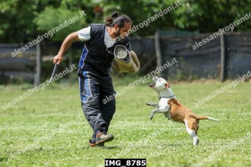 IMG_8785.jpg