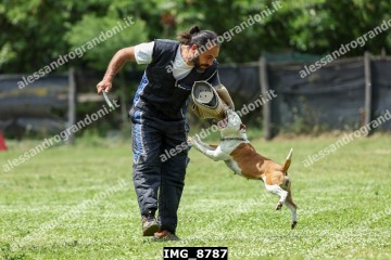 IMG_8787.jpg