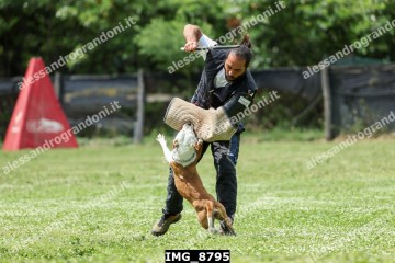 IMG_8795.jpg