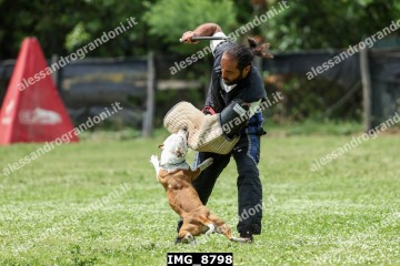 IMG_8798.jpg