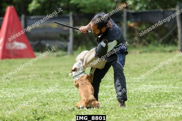 IMG_8801.jpg