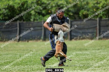 IMG_8836.jpg