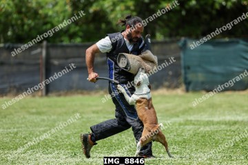 IMG_8846.jpg