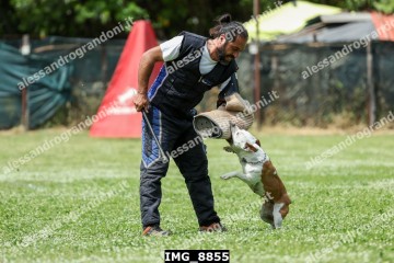 IMG_8855.jpg