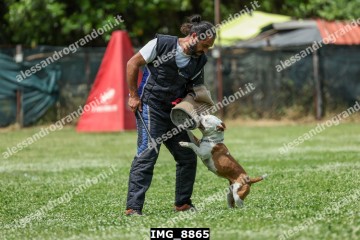 IMG_8865.jpg