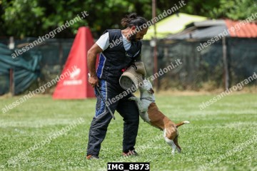 IMG_8873.jpg