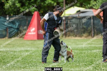 IMG_8887.jpg