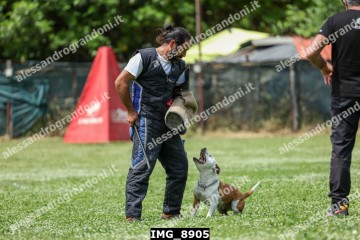 IMG_8905.jpg