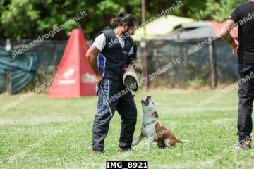 IMG_8921.jpg