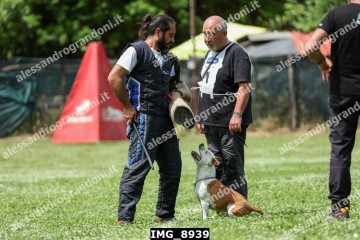 IMG_8939.jpg