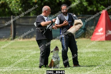 IMG_8945.jpg