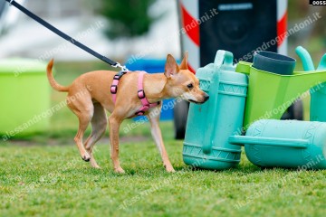 _0055.jpg