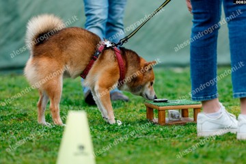 _0083.jpg