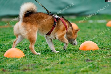 _0084.jpg