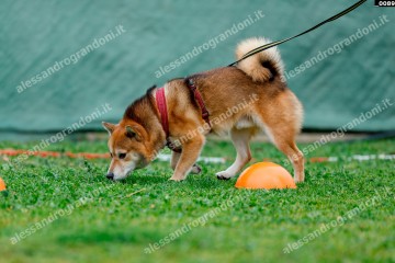 _0089.jpg