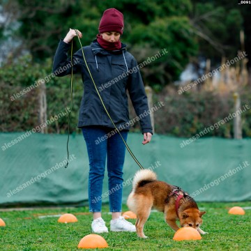 _0091.jpg