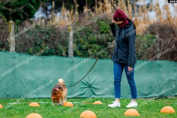 _0093.jpg