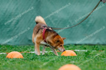 _0094.jpg