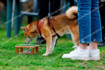 _0097.jpg