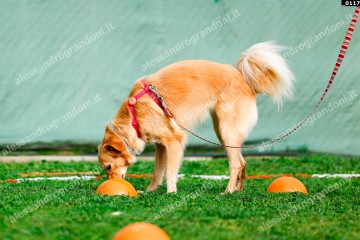 _0117.jpg