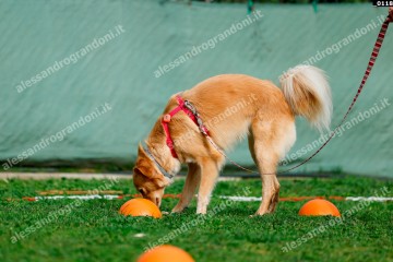 _0118.jpg