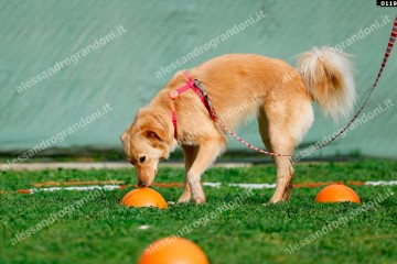 _0119.jpg