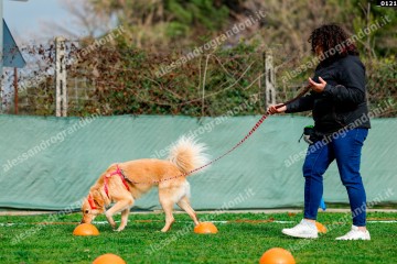 _0121.jpg