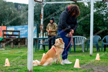 _0126.jpg