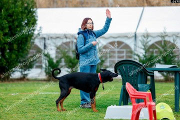 _0175.jpg